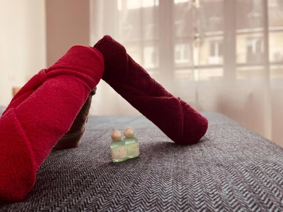 L'Appartement Lafayette Rive Gauche Rouen Eksteriør billede